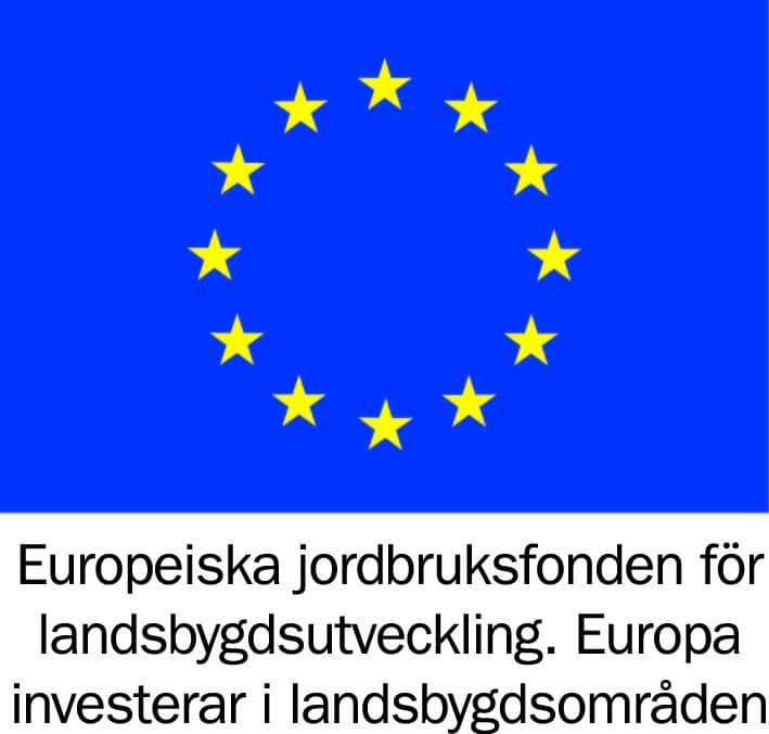 Logotyp för Europeiska Unionen. Europeiskka