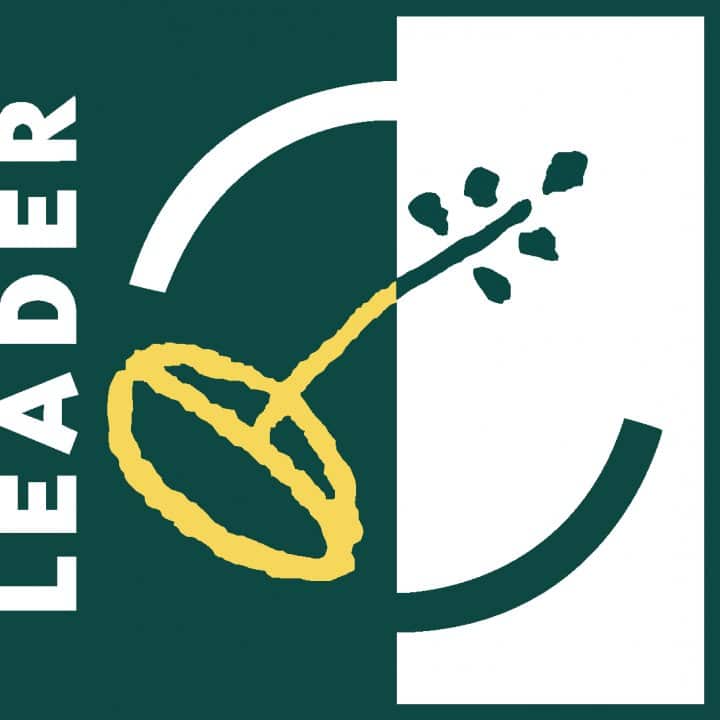 Logotyp med text: Leader